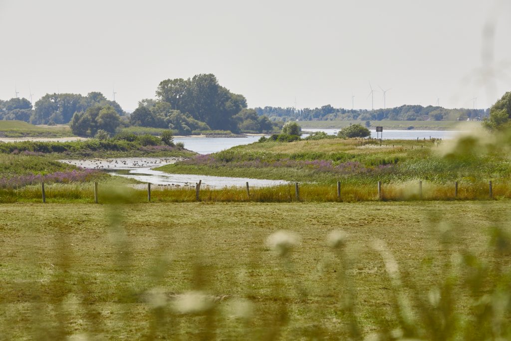 Zollenspieker_Vierlanden_0139