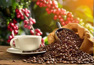 Eine Reise durch die Welt des Kaffees